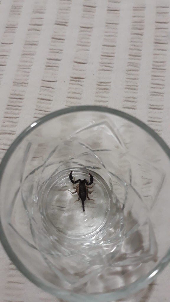 Nasıl kurtaracağım paçayı ya?