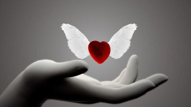 💔✨ “Aşk acısını en iyi ne unutturur sence?