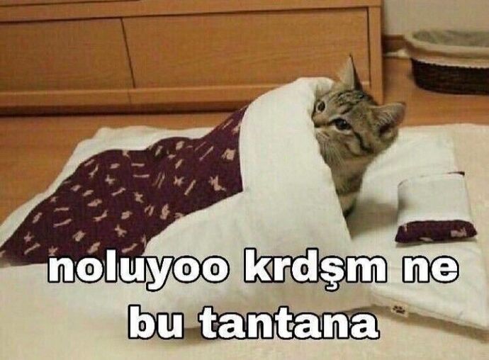 Şok geçirir kısa bir süre sırıtır ortamdan çekilirim herkesin beni tanımasını istemem hocam