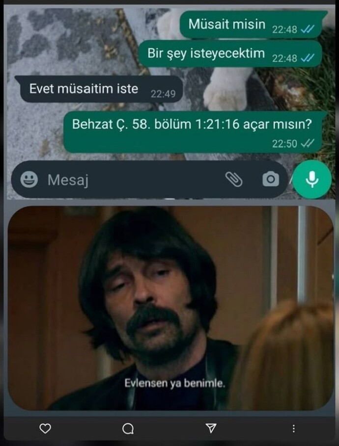 Evlenmeye müsait misiniz?