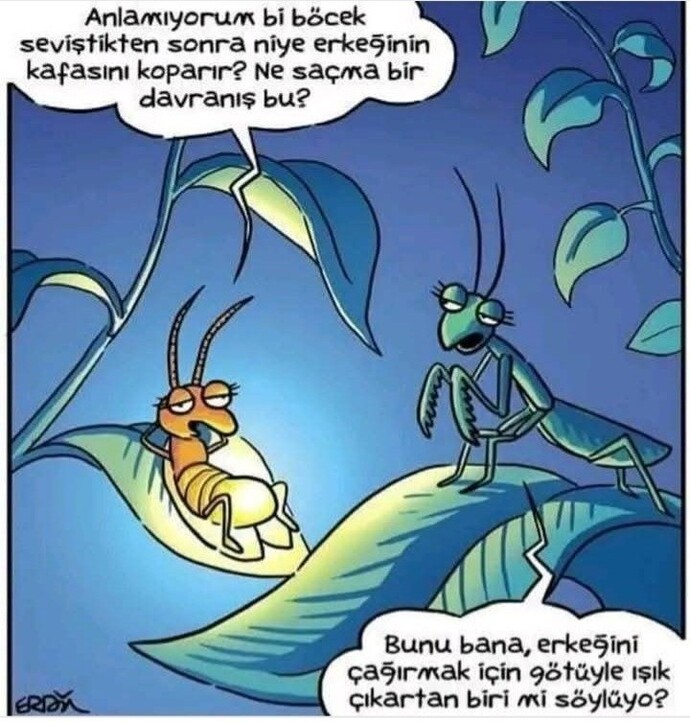 Resmiyetten ve resmi konuşmaktan sıkıldığınız zamanlar oluyor mu?