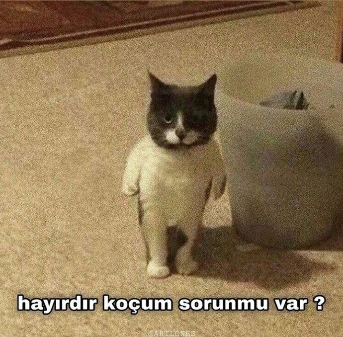 Kavgadan korkar mısınız?