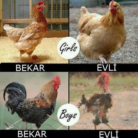 😅😂🤣🤣
