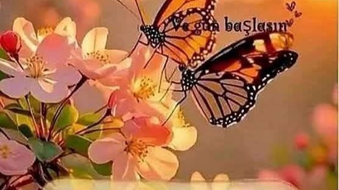 Günaydın güne başlayabildin mi?