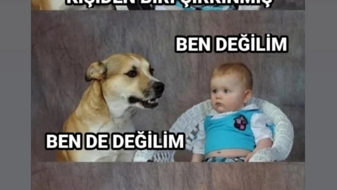 Bana bakmayın ben hiç değilim 🤪🤪kim o zaman bunlar?🤭🤭🤭 günaydınnnnnnnnnn?