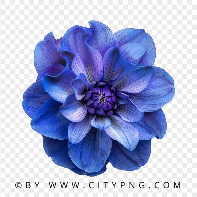 Bana hangi çiçeği anımsattığınızı söyliyimmi balböcüşleer💐?