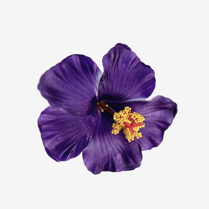 Bana hangi çiçeği anımsattığınızı söyliyimmi balböcüşleer💐?