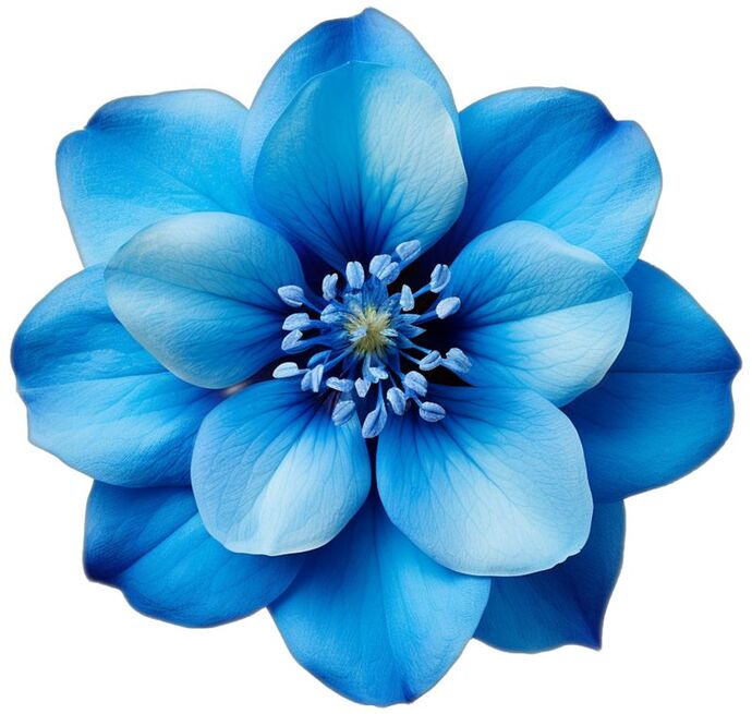 Bana hangi çiçeği anımsattığınızı söyliyimmi balböcüşleer💐?