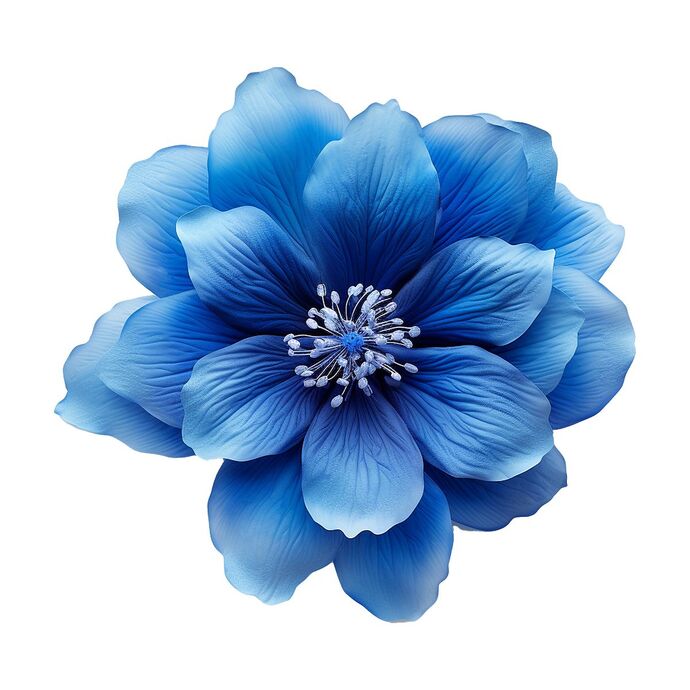 Bana hangi çiçeği anımsattığınızı söyliyimmi balböcüşleer💐?
