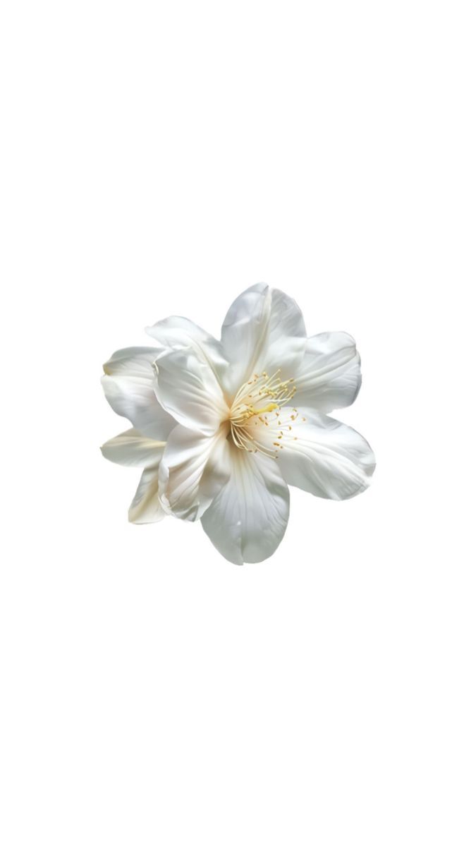Bana hangi çiçeği anımsattığınızı söyliyimmi balböcüşleer💐?