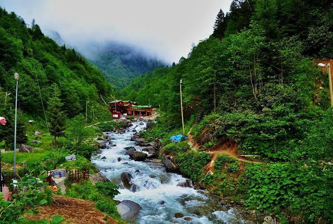 Bu sıcaklarda yaylaya çıkmayı mı yoksa evde klimanın önünde serinlemeyi mi tercih ederdin?