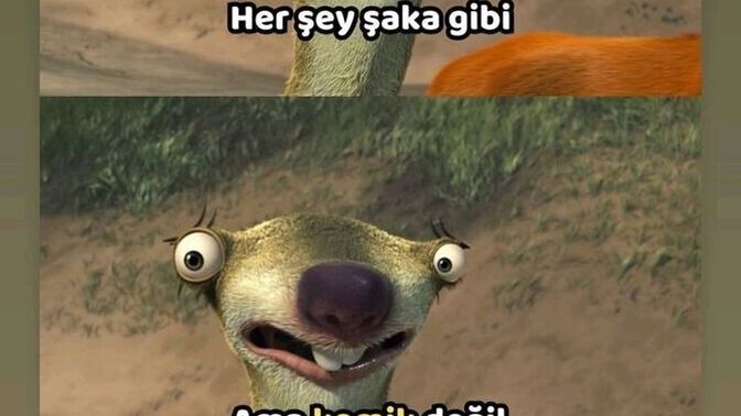Erkekler gerçekten Roman Havasi oynayabilir mi? ?