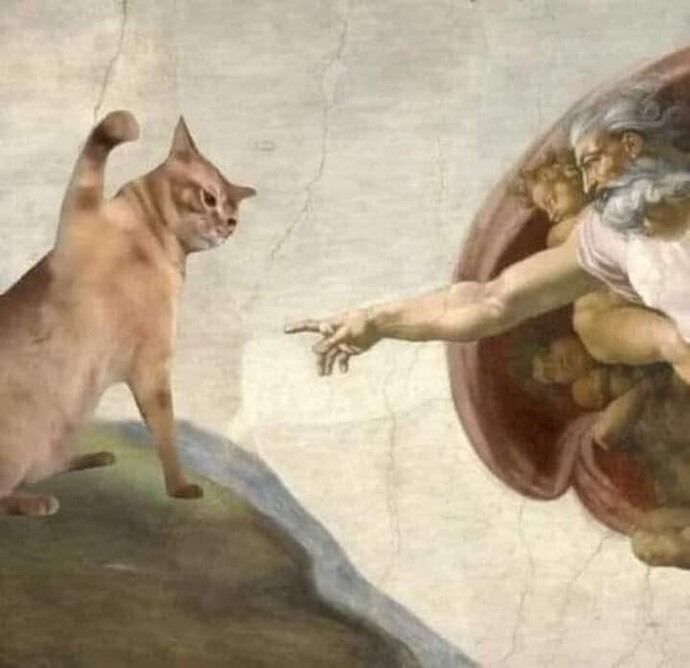 Profilinize göre aklımıza gelen hayvan görselleri paylaşmamızı ister misiniz🐙🐣🫧🦄?