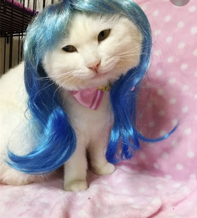Profilinize göre aklımıza gelen hayvan görselleri paylaşmamızı ister misiniz🐙🐣🫧🦄?