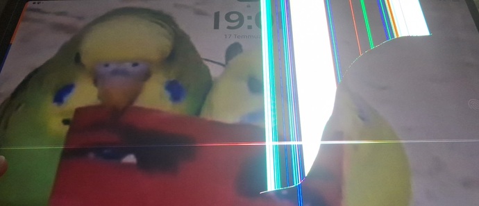 Samsung Tab S9 Ultra Ekran Değişimi?