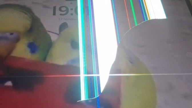 Samsung Tab S9 Ultra Ekran Değişimi?
