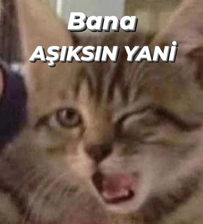 İlişkisi yeni bitmiş bir kişinin aşık olma olasılıgı daha mı yüksektir?