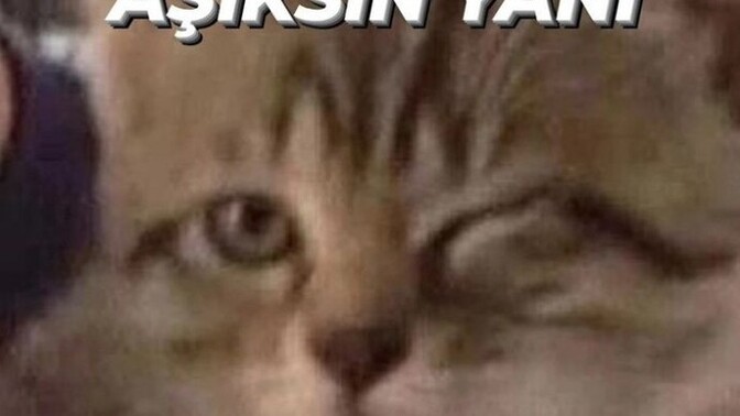 İlişkisi yeni bitmiş bir kişinin aşık olma olasılıgı daha mı yüksektir?