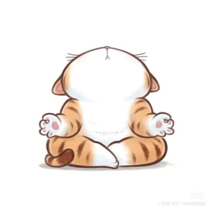 Haadi iyi geceler✨