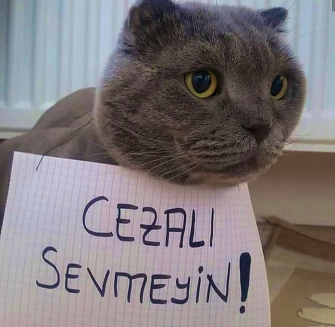 Vay arkadaş üzerimde böyle asılı bir kağıt var da ben mi göremiyorum? kime elimizi atsak foss çıkıyor ben böyle işin 🤣🤣🤣?