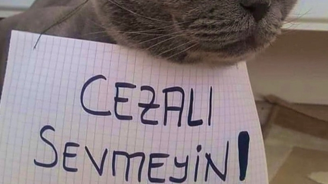 Vay arkadaş üzerimde böyle asılı bir kağıt var da ben mi göremiyorum? kime elimizi atsak foss çıkıyor ben böyle işin 🤣🤣🤣?
