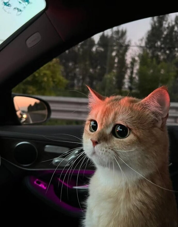 Geçmişi mi yaşarsınız, geleceği mi yoksa anı mı?