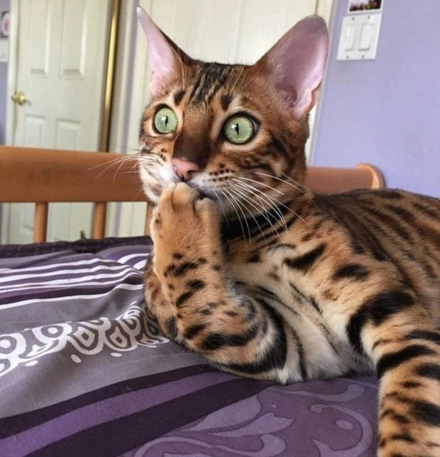 Hiç yanlışlıkla yanlış kişiye mesaj gönderdiniz mi?