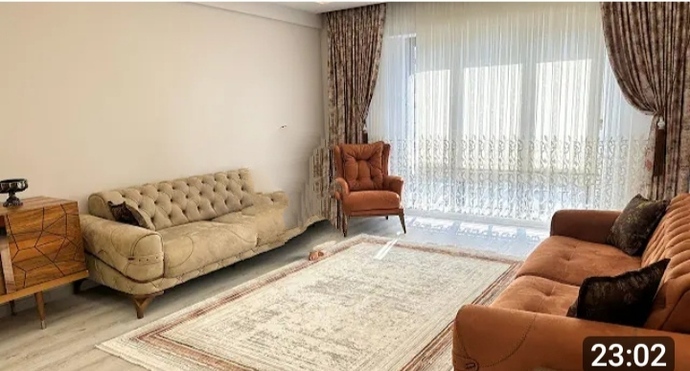 Misafirliğe gittiğiniz evde kedi tüyü olması sizi rahatsız eder mi?