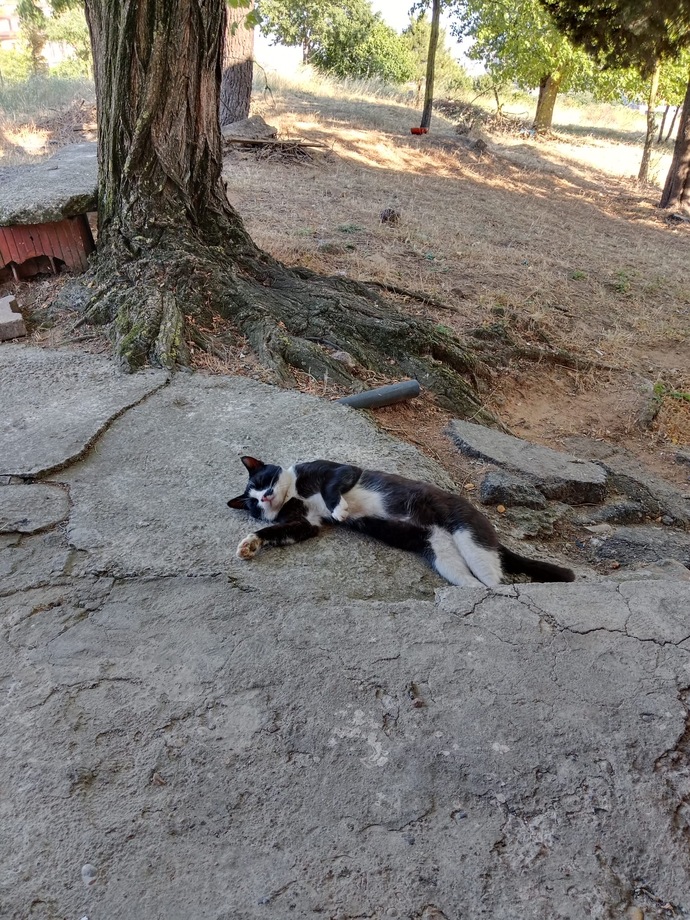 Hayat yaşamaya değer mi? Sevdiklerinizle vakit geçiriyormusunuz?