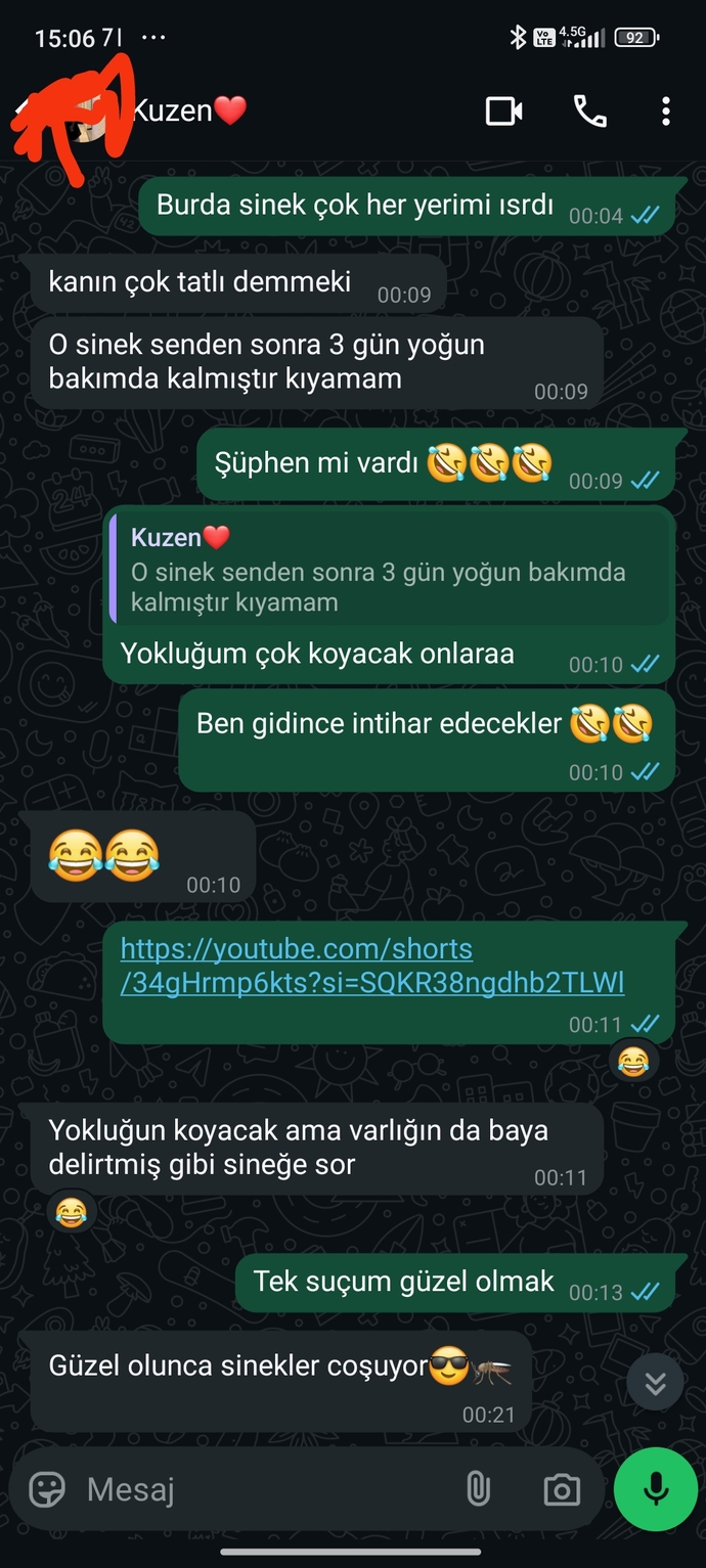 Size atılan en son mesajda ne yazıyor?
