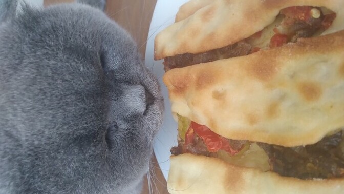 Her yediğinizden yemek isteyen birisi var mı?