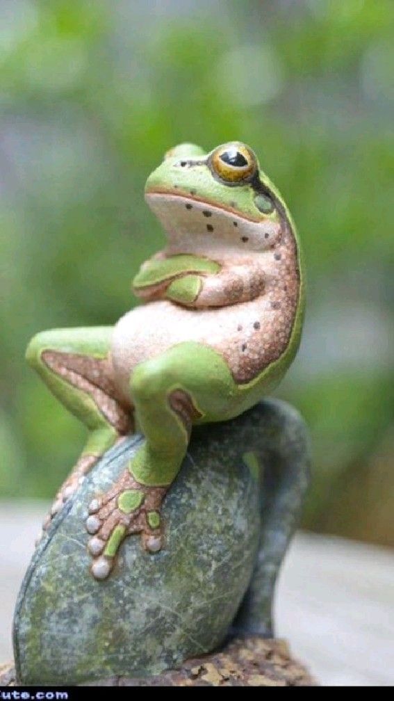 Duvar destekli 'Kurbağa 🐸 Yoga pozunu' yapabilir misin?
