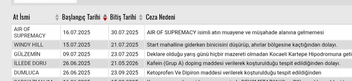 Daha once hic at bindiniz mi?