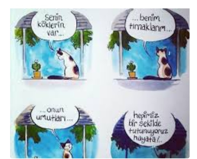 Hayvanlarla konuşabilmeyi mi yoksa bitkilerle mi konuşabilmeyi tercih edersin?