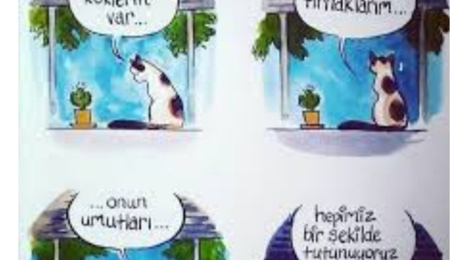 Hayvanlarla konuşabilmeyi mi yoksa bitkilerle mi konuşabilmeyi tercih edersin?