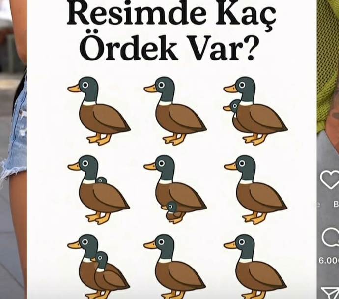 Eğlenceli bir soru kaç ördek görüyorsun?