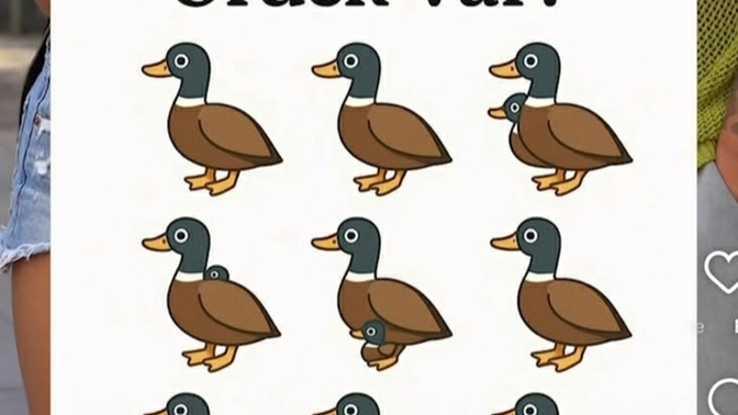 Eğlenceli bir soru kaç ördek görüyorsun?