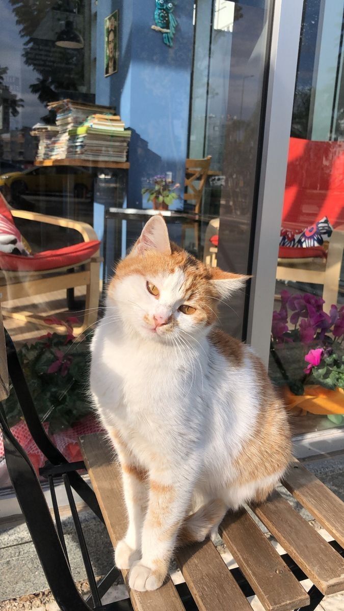 Evli bir kadın tek başına gidip aralıksız 3 ay keyfi olarak annesi gilde kalması evlilikte sorun yaratır mı?