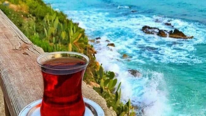Çay sevginizi 10 üzerinden puanlar mısınız?