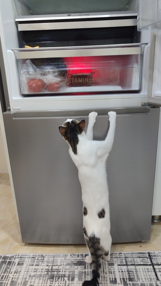 Sizde de böyle olmuş muydu 😂?