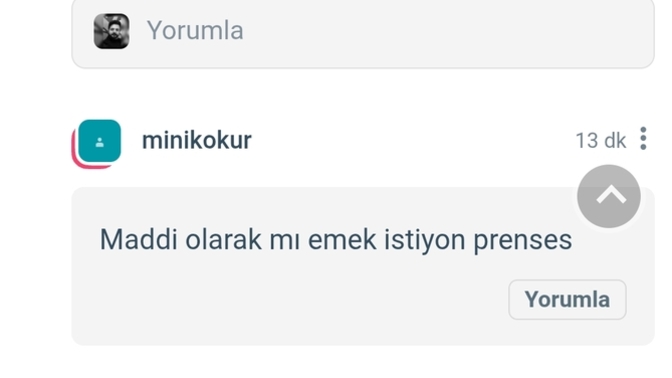 Erkekler, Nedir bu prenses erkek meseleleri?