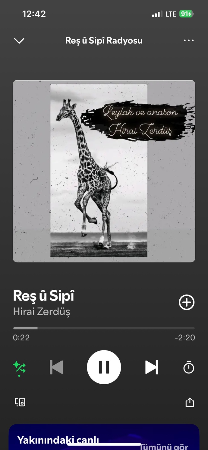 Şu an çalan şarkıdan bi cümle?