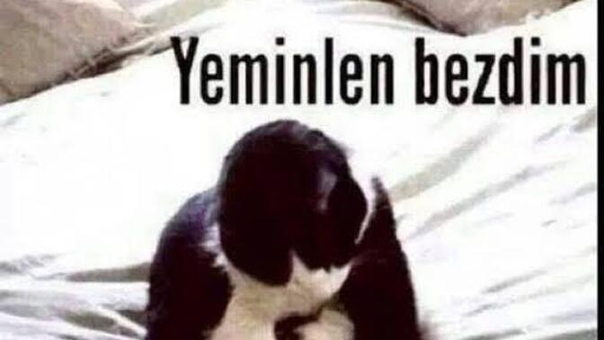 Hiçbir şey yapmıyorken bir şey yapmayı canınız çekerse ne yaparsınız?
