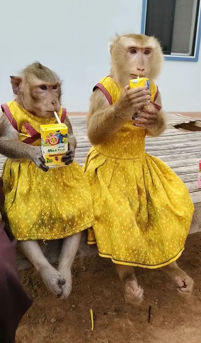 Hiç birinden çiçek aldınız mı 💐🌺?