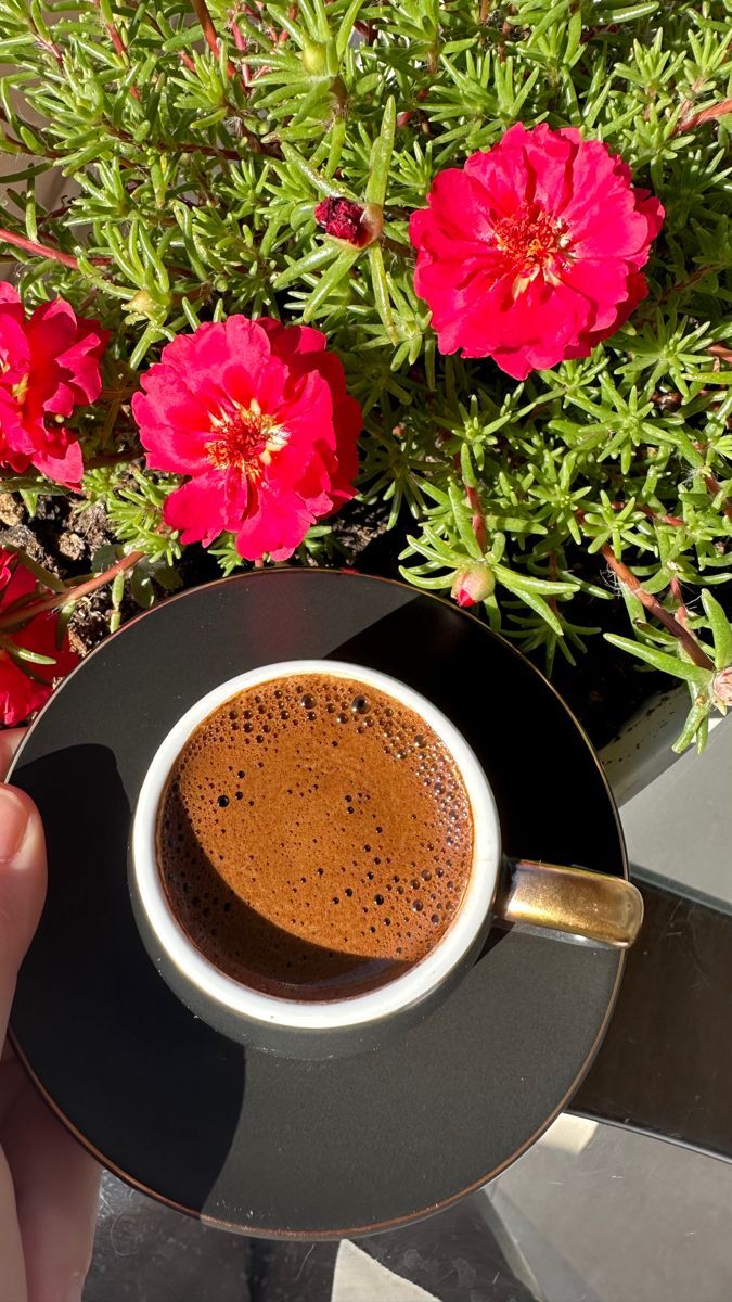 Temizlik bitince kahve keyfi gibisi var mı?