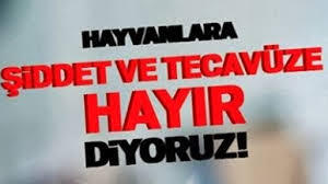 Köpeğimin kıçından ısırdım🤣🤣?
