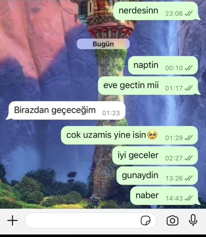 Ben seviyor diye yorumladım 🤧 seviyor dimi?
