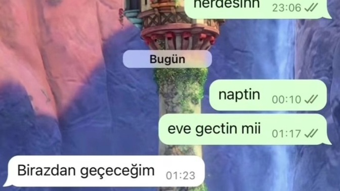 Ben seviyor diye yorumladım 🤧 seviyor dimi?