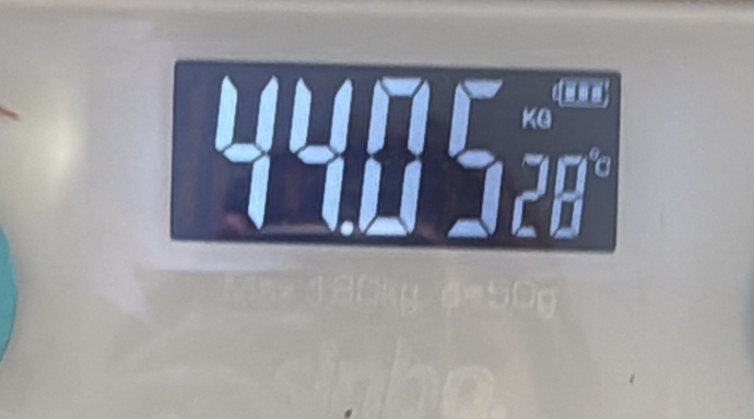 Obezim 44 kg nasıl geçer?