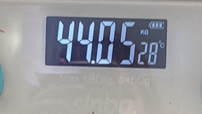 Obezim 44 kg nasıl geçer?